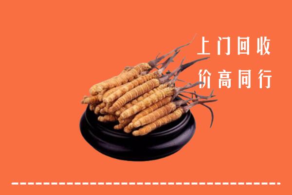 高价求购：宜川县回收散虫草